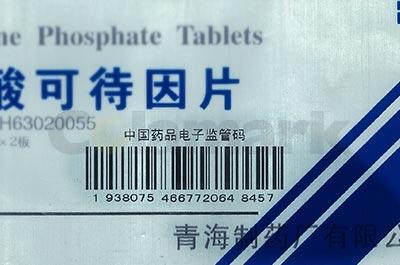 自動分頁智能易編機